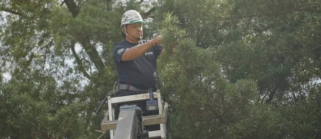 安定した仕事があるのでどんどん経験できます！